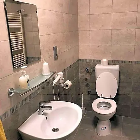 Halasz Airport Panzio 4*