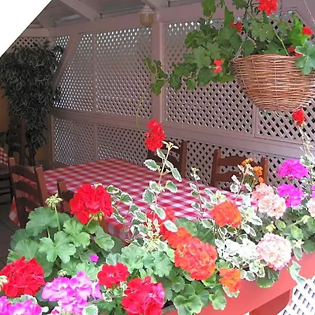 Halasz Airport Panzio Hotel Felsomalom