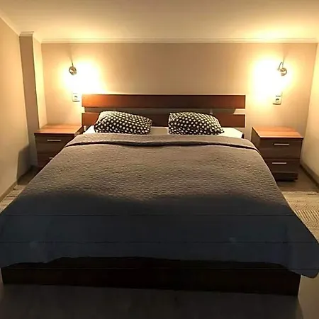 Hotel Halasz Airport Panzio
