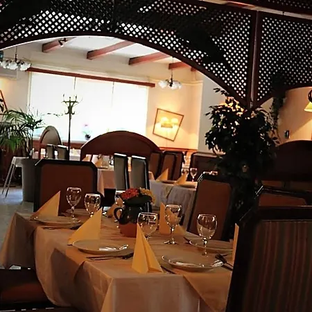 Halasz Airport Panzio 4*